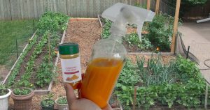spray cu turmeric