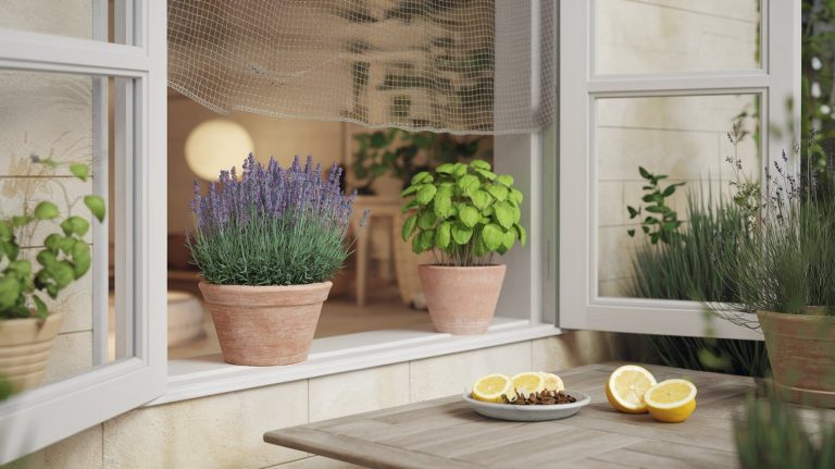 Metode eficiente de a alunga insectele fără chimicale